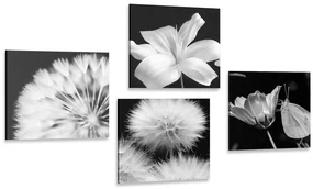 Set tablouri frumusețea florilor în alb-negru cu fluture