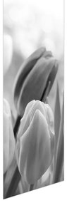 Fotojaluzele R012127R57150 (57x150 cm)