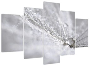 Tablou - Picătură de apă (150x105 cm)