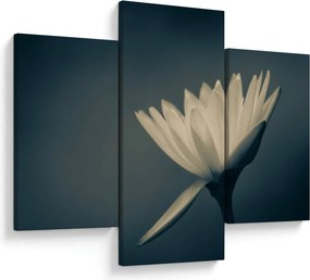 Tablou cu flori (90x60 cm)