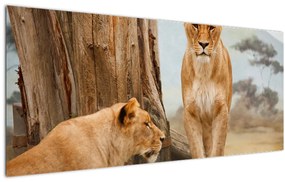 Tablou - două leoaice (120x50 cm), în 40 de alte dimensiuni noi