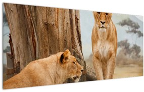Tablou - două leoaice (120x50 cm)