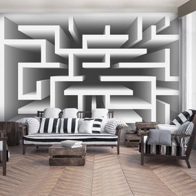 Fototapet - 3D labirint (254x184 cm)