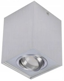 Spot aplicat tavan/plafon stil modern ELOY 1 Aluminiu
