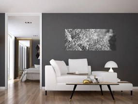 Tablou - Pădure de molid (120x50 cm)