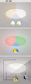 Plafoniera LED RGB cu telecomanda Bruce 59cm