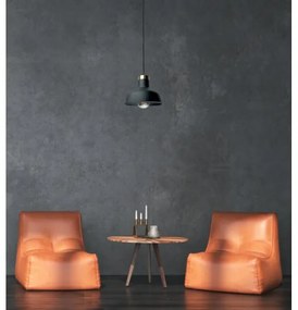 Lustră pe cablu HEBE 1xE27/60W/230V negru