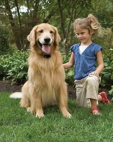 PetSafe® Gard electric pentru câini Basic
