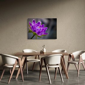 Tablou pe sticlă floarei (70x50 cm)