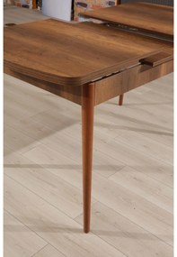 Masă sufragerie Tidobo (Nuc) (pentru 4 persoane). 1093741