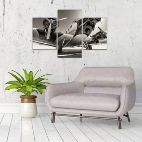 Tablou - Avioane istorice (90x60 cm)