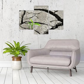 Tablou - Fisuri (90x60 cm)