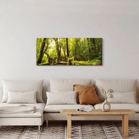 Tablou junglei cu mușchi (120x50 cm)