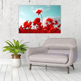 Tablou - Câmp cu flori roșu deschis (90x60 cm)
