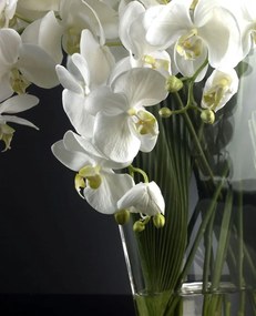 Aranjament floral design LUX TROP DOUBLE PALM 1140886.95