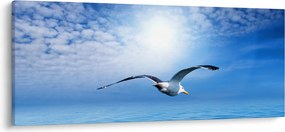 Tablou - Pescărușul peste mare (120x50 cm)