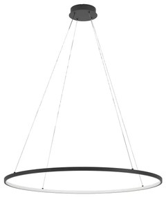Lustră LED dimabilă pe cablu Eglo 901637 PARRUTA LED/40W/230V negru + telecomandă