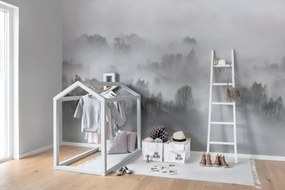 Fototapet, Morning Fog, Rebel Walls