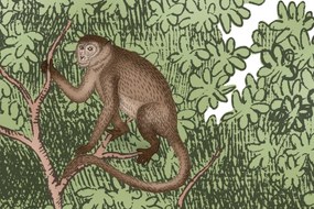 Fototapet, Tropical Bellewood, Monkeys, Rebel Walls