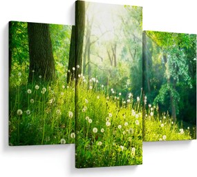 Tablou - Pajiște magică plină de păpădii (90x60 cm)