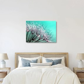 Tablou pe sticlă - planta cu rouă (70x50 cm)