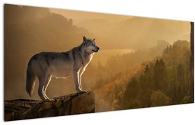 Tablou - Lup pe stăncă (120x50 cm)