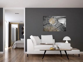 Tablou - Trunchiul copacului colaj (90x60 cm)