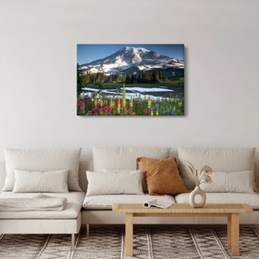 Tablou - Muntele Rainier (90x60 cm)