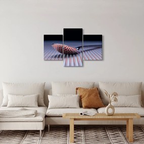 Tablou cu oglindire (90x60 cm)