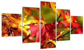 Tablou cu frunze de toamnă (125x70 cm), în 40 de alte dimensiuni noi