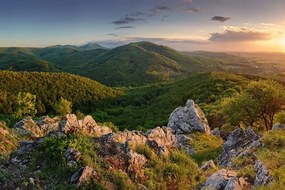 Fototapet autoadeziv natura scăldată în soare