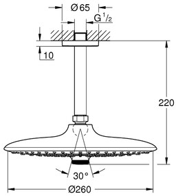 Dus fix Grohe Euphoria 260, montare pe tavan, 142 mm, 3 jeturi - 26461000