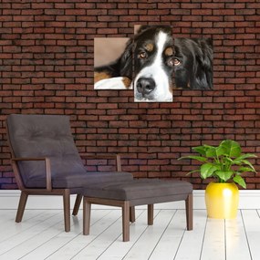 Tablou cu câine (90x60 cm)