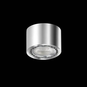Spot aplicat de tavan/plafon ECO ALIX NEW crom ZZ AZ3495