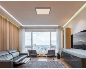 Globo 41596D2 - LED plafonieră dimabilă LED/24W/230V 2700-6500K+DO