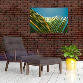 Tablou - Frunze de palmier (90x60 cm)