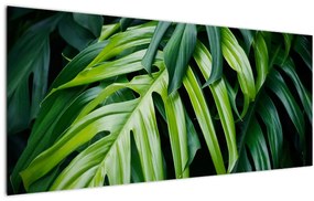 Tablou - Frunze tropicale (120x50 cm)