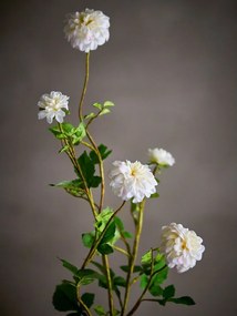 Plantă artificială (înălțime 101 cm) Chrysantemum – Bloomingville