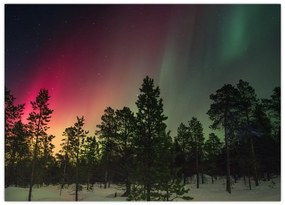 Tablou cu Northern Lights (70x50 cm)