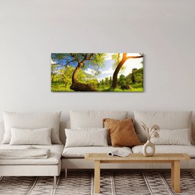 Tablou lunca ne primăvară (120x50 cm)
