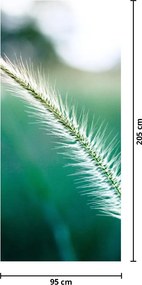 Fototapet pentru ușă - Fir de iarbă (95x205cm)