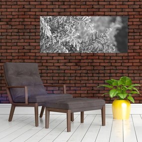 Tablou - Pădure de molid (120x50 cm)