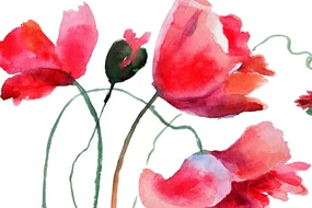Tablou flori de mac inedite