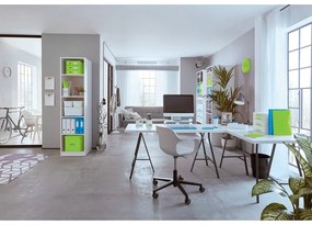 Cutie de depozitare din carton cu capac verde Click&Store - Leitz