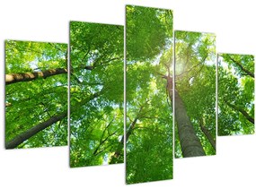 Tablou - Lunca (150x105 cm)