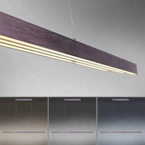 Lustră LED dimabilă pe cablu Paul Neuhaus 2568-24 ADRIANA LED/14W/230V