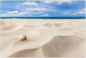 Tablou - Scoici pe plajă (90x60 cm)