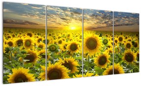 Tablouri - floarea-soarelui (160x80cm)