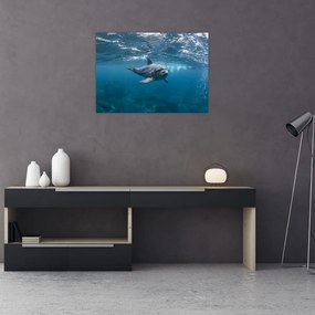 Tablou - Delfin sub apă (70x50 cm)