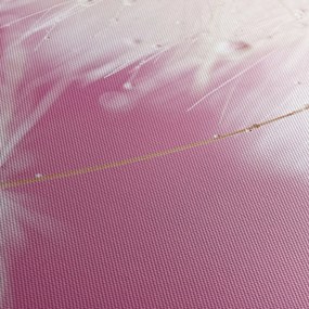 Tablou - Floare macro (70x50 cm)